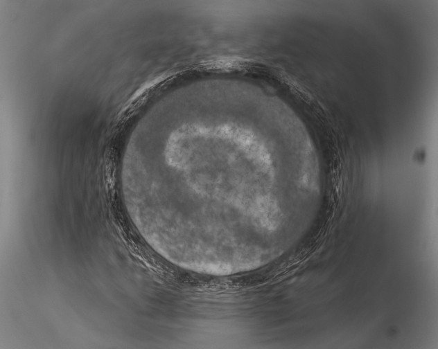 X0000116031206200912111408