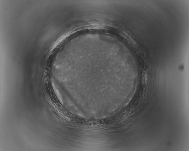 X0000116031208200912111408