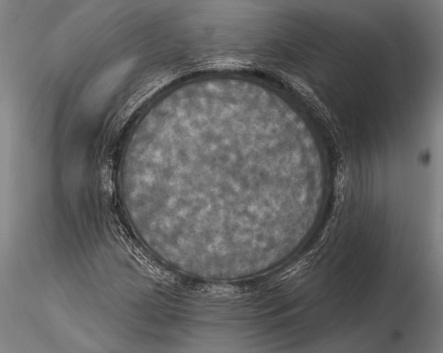 X0000116031209200912111408