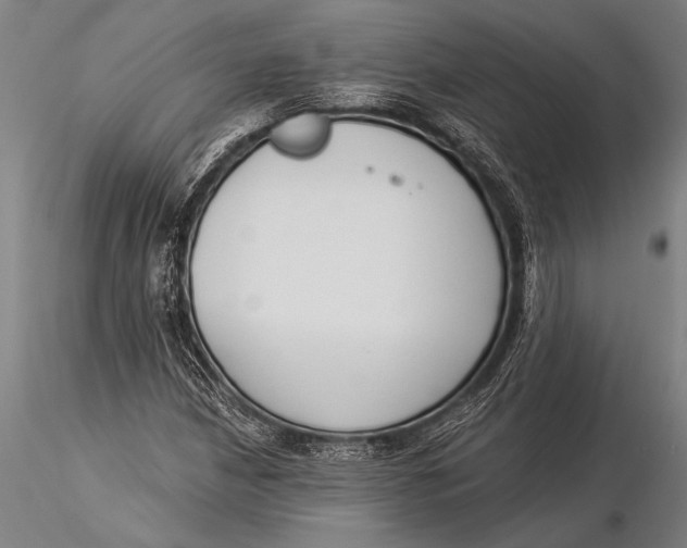 X0000116031210200912111408