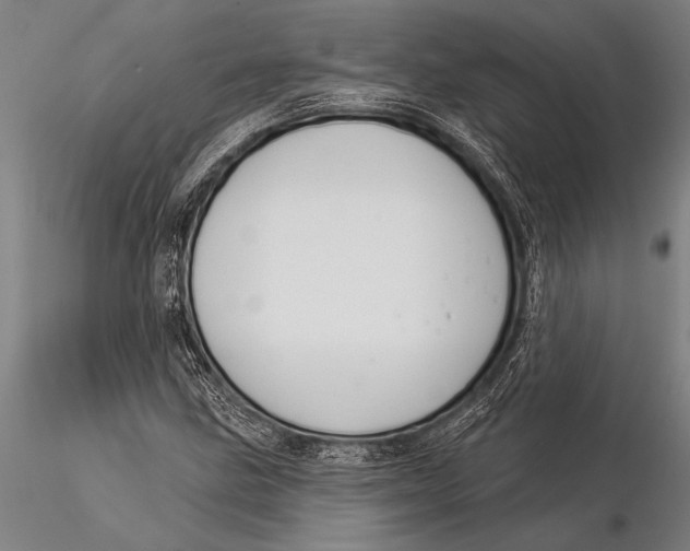 X0000116031211200912111408