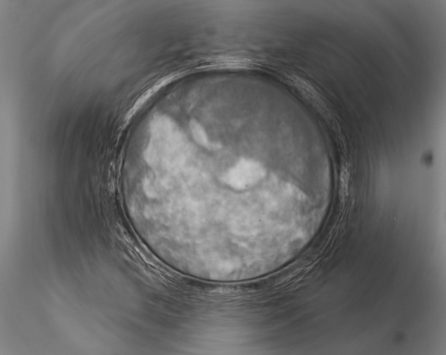 X0000116031212200912111408