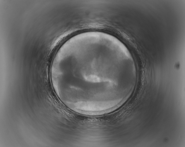 X0000116031214200912111408