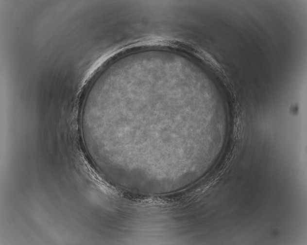 X0000116031216200912111408