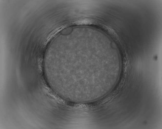 X0000116031217200912111408