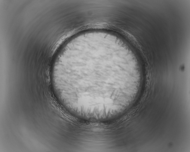 X0000116031218200912111408