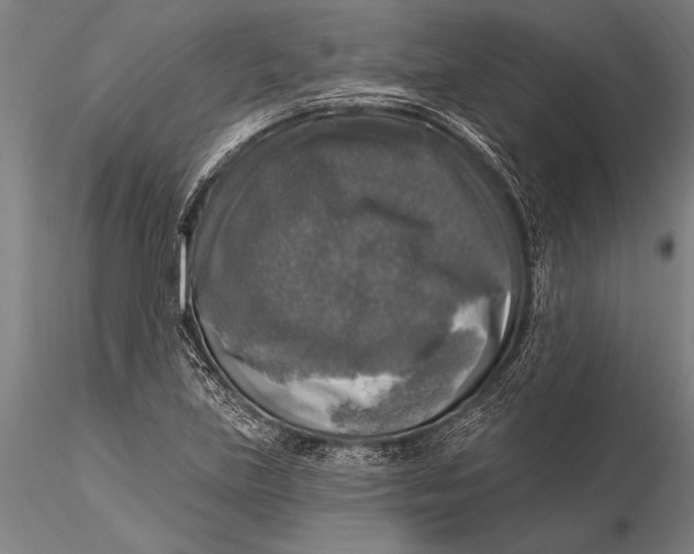 X0000116031219200912111408