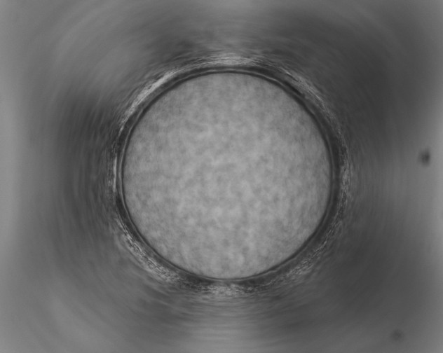 X0000116031220200912111408