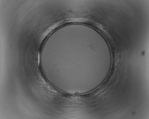 X0000116031221200912111408