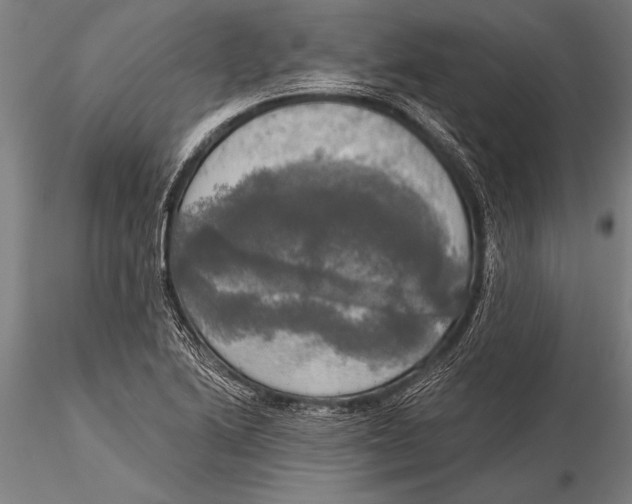 X0000116031222200912111408