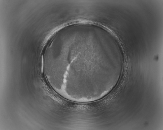 X0000116031223200912111408