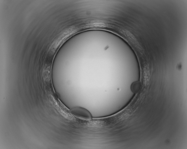 X0000116031225200912111408