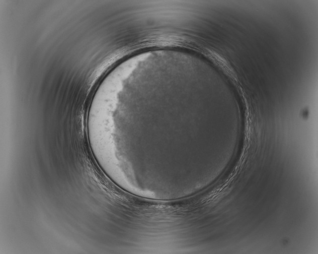 X0000116031226200912111408