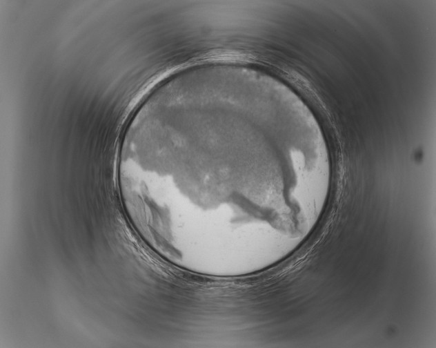 X0000116031228200912111408