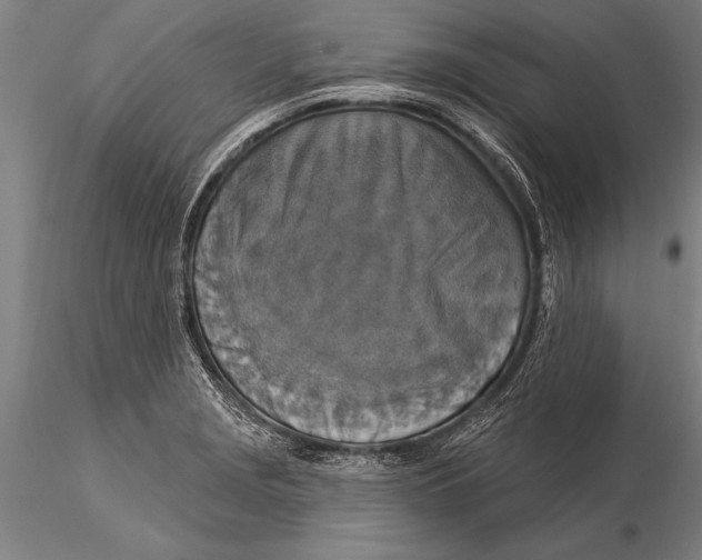 X0000116031229200912111408