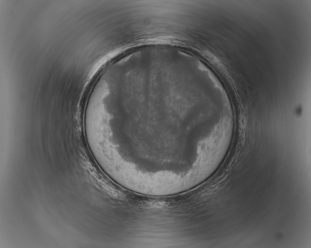 X0000116031230200912111408