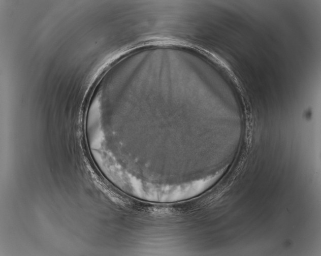 X0000116031231200912111408