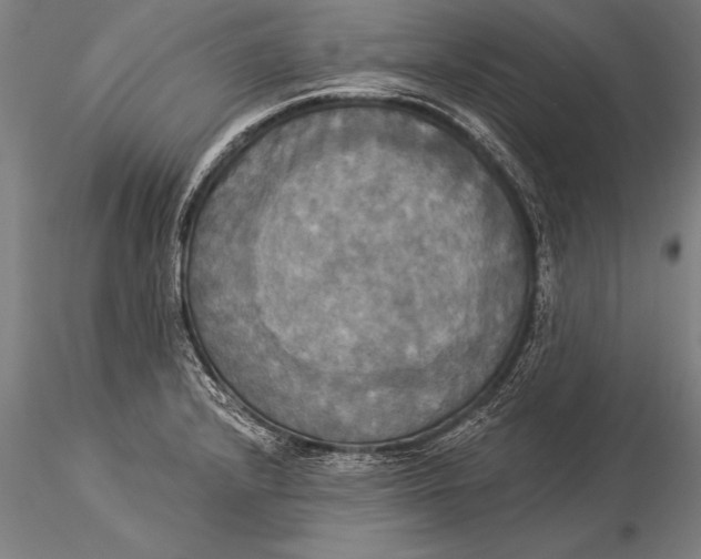 X0000116031232200912111408