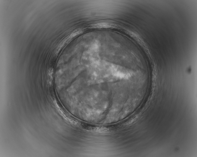 X0000116031233200912111408