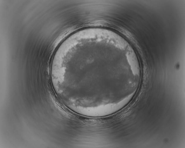 X0000116031234200912111408