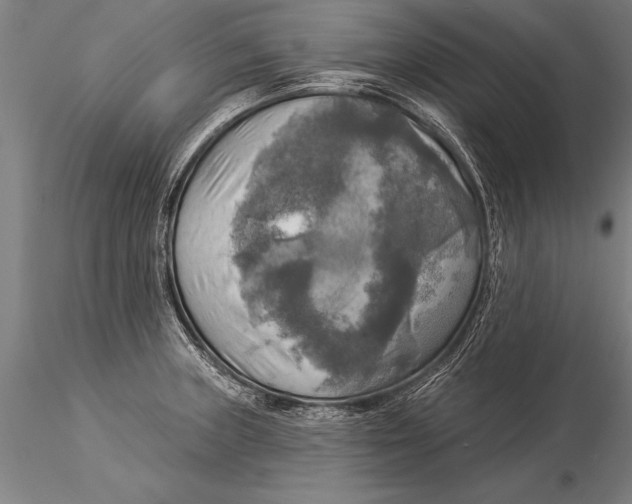 X0000116031235200912111408