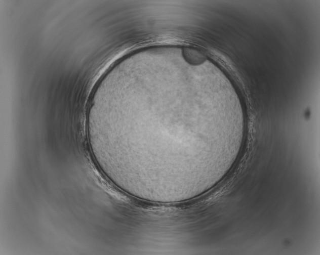 X0000116031236200912111408