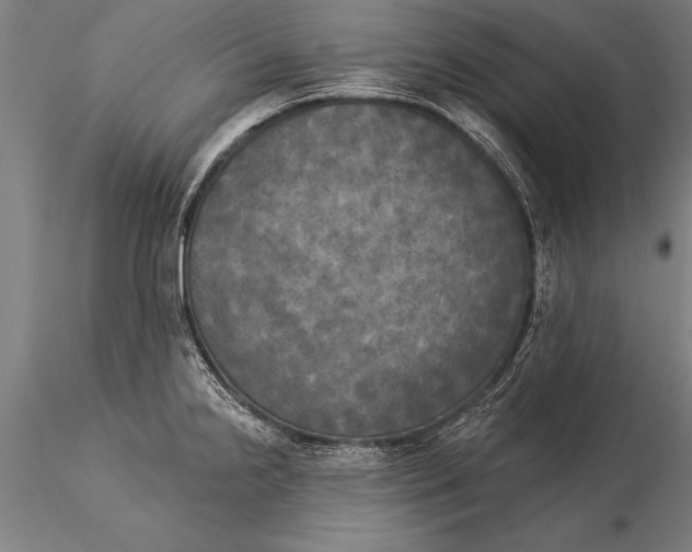 X0000116031238200912111408