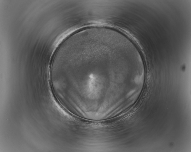 X0000116031239200912111408