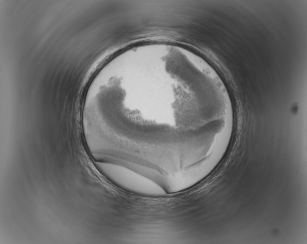 X0000116031240200912111408