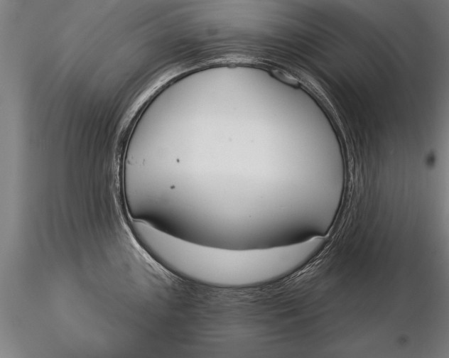 X0000116031243200912111408