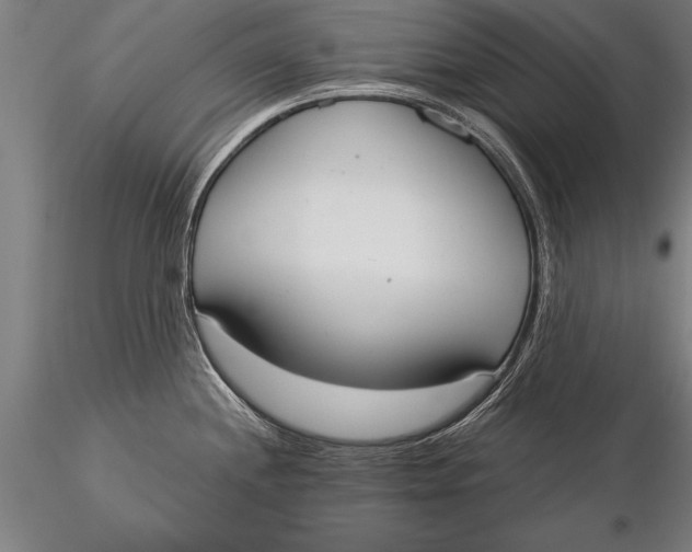 X0000116031244200912111408