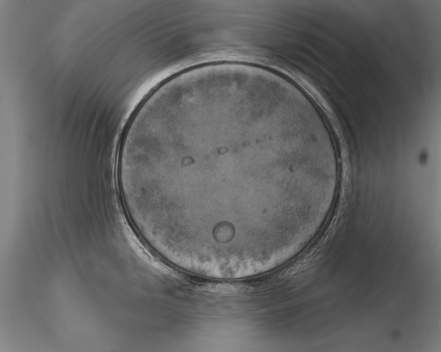 X0000116031246200912111408