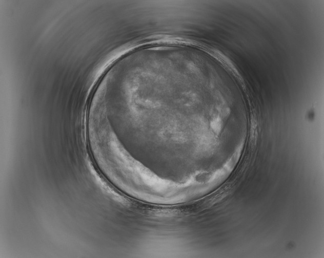 X0000116031247200912111408