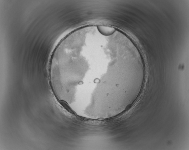 X0000116031248200912111408