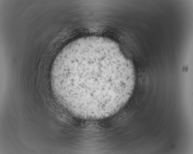 X0000116031249200912111408