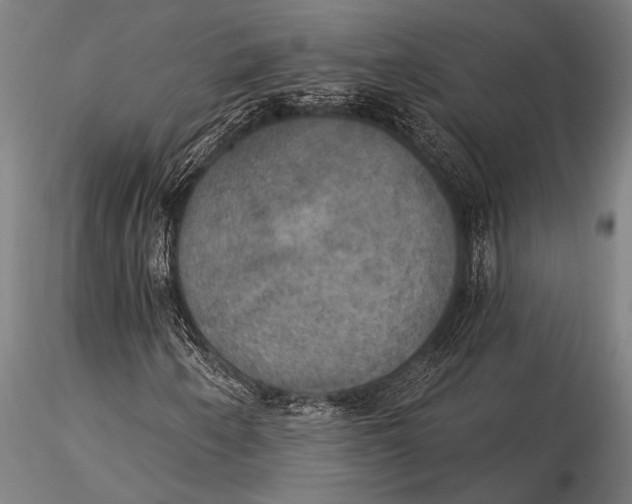 X0000116031250200912111408