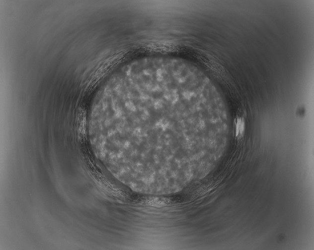 X0000116031251200912111407