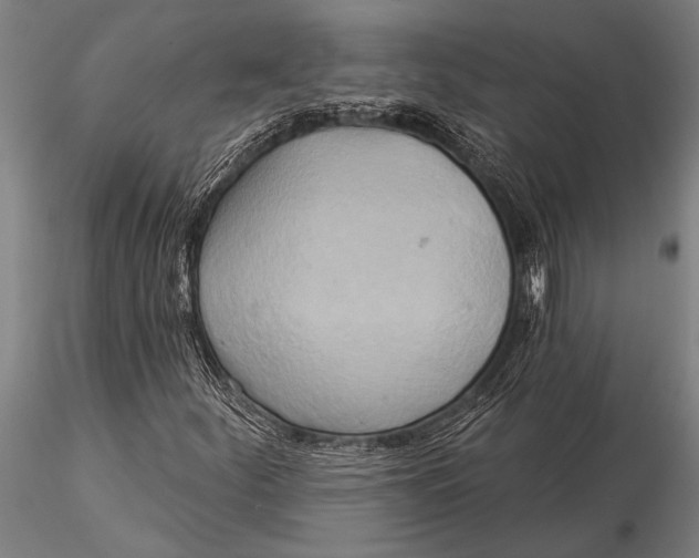 X0000116031252200912111407