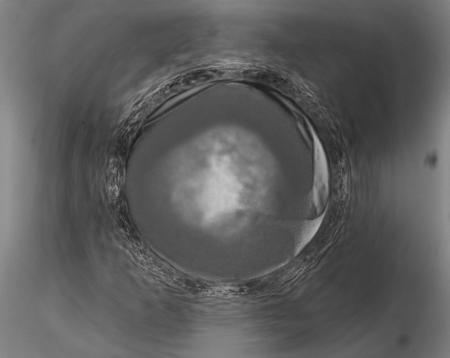 X0000116031253200912111407