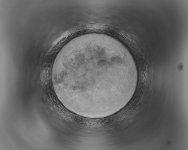 X0000116031254200912111407