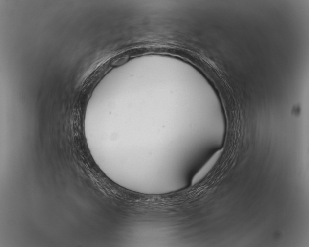 X0000116031255200912111407