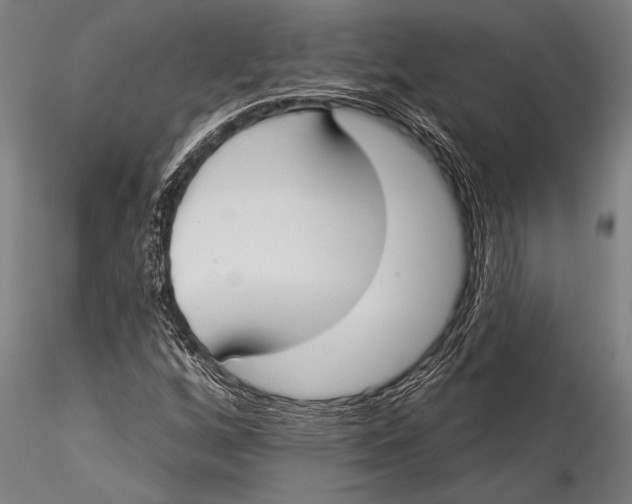 X0000116031256200912111407