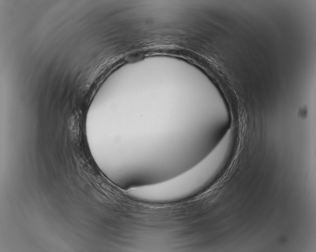 X0000116031257200912111407