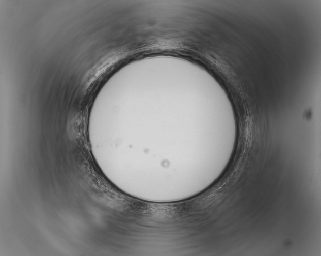 X0000116031258200912111407