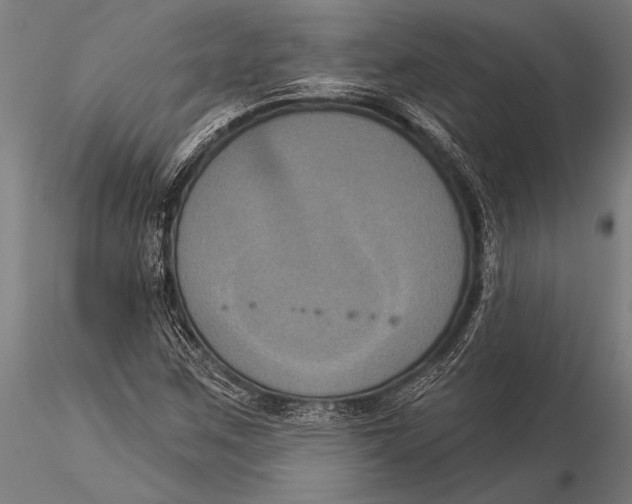 X0000116031259200912111407