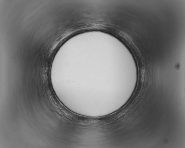 X0000116031260200912111407