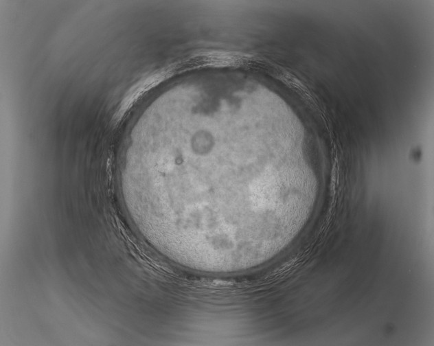 X0000116031261200912111407