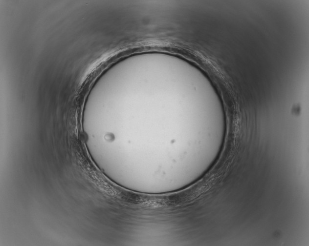 X0000116031262200912111407