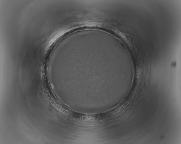 X0000116031263200912111407