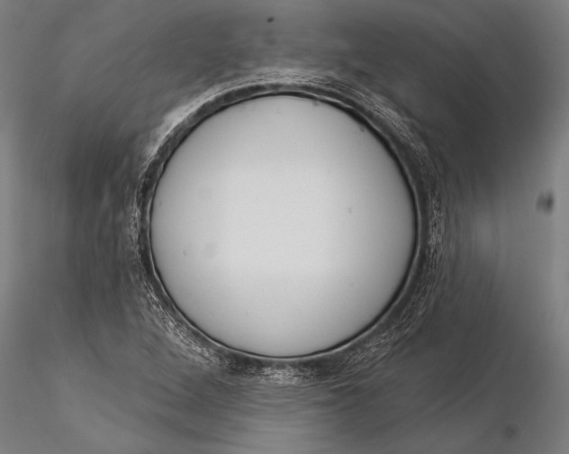 X0000116031264200912111407